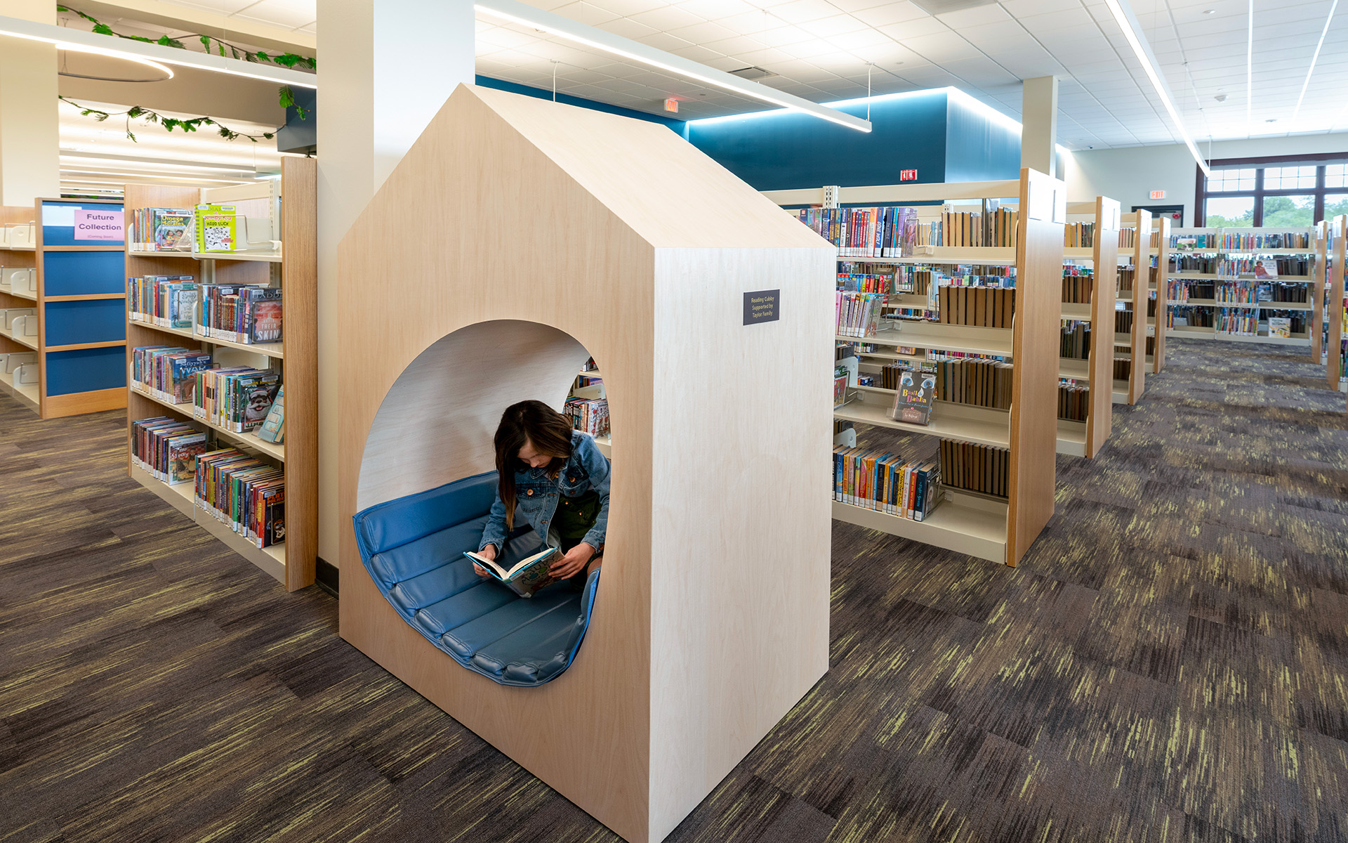 SunPrairiePublicLibraryCubbie